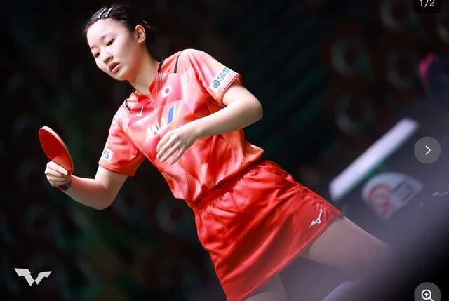 提供的机会 提供的机会